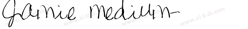 Jamie Medium字体转换